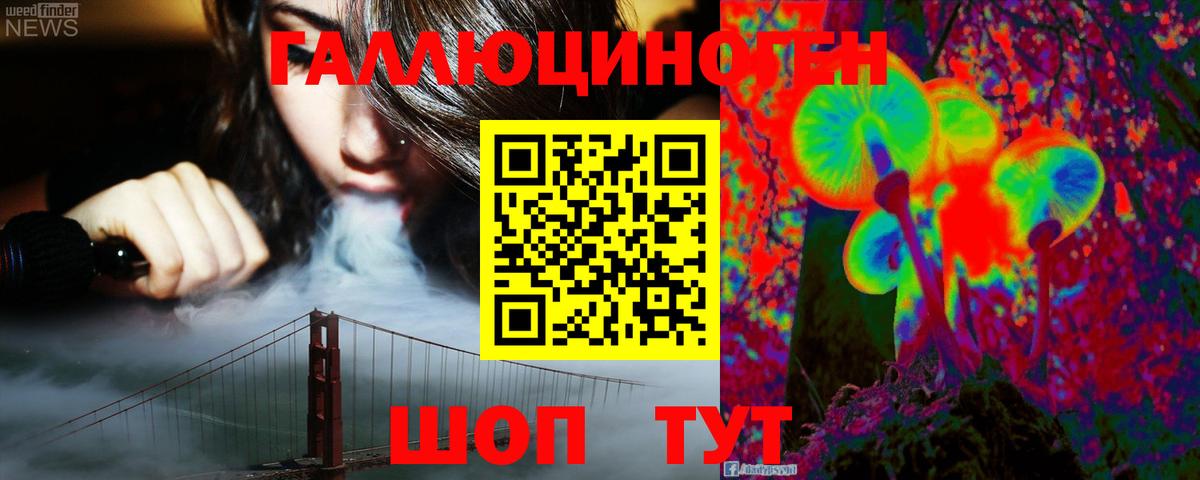 Псилоцибиновые грибы Psilocybine cubensis Осинники